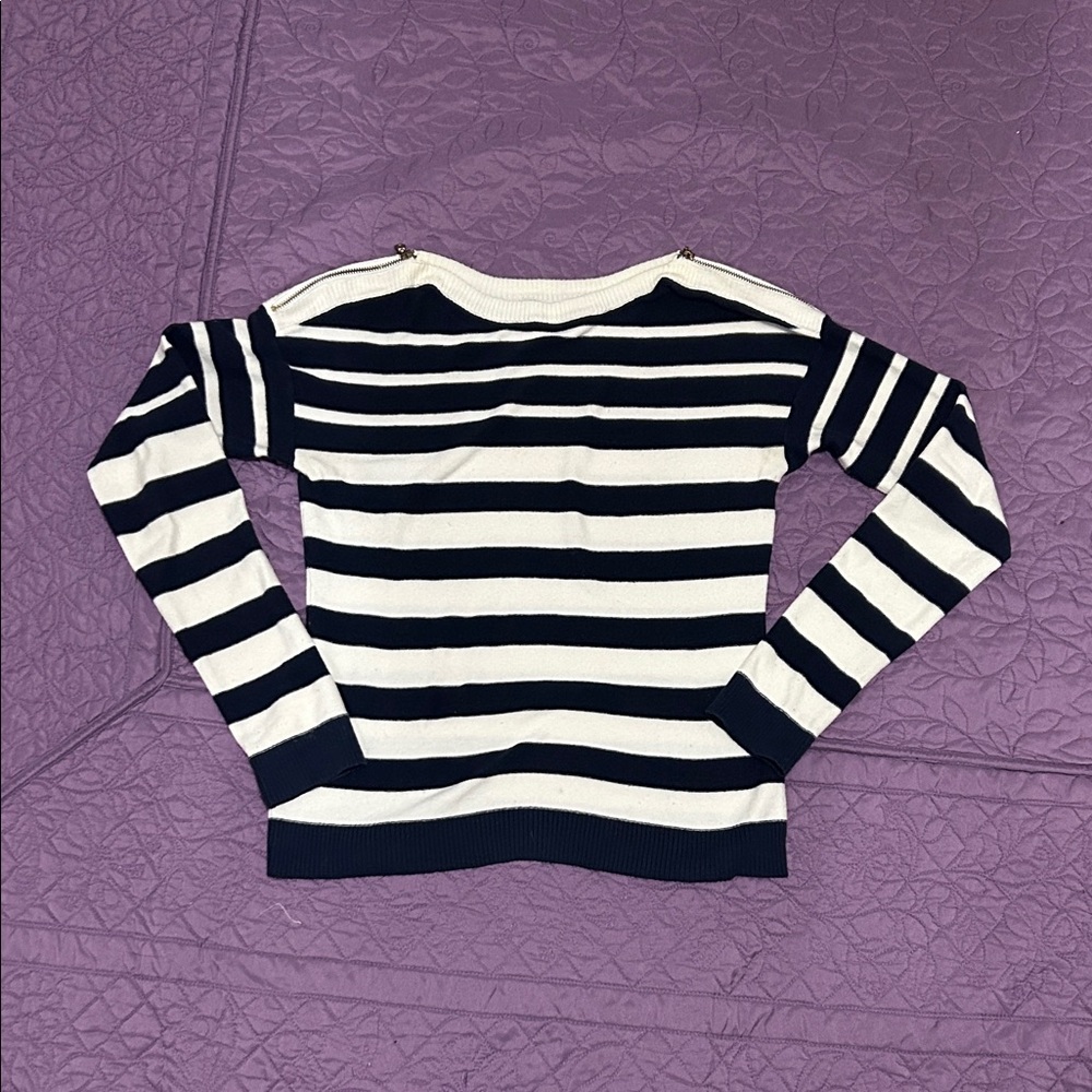 The Limited Navy and White Striped Sweater